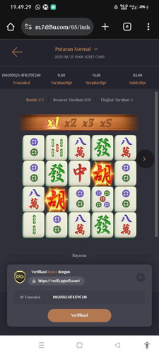 photo 6334758204335656251 y.jpg