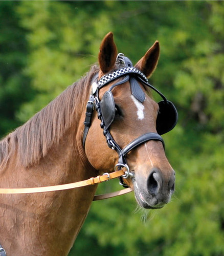 G4EU7NbXMAAzcId.jpg