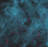 Untitled video Made with Clipchamp (7).gif