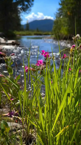 vjr7XTOcukRIPc 7.jpg