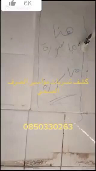 kq bvGt8ohkT Qk3.jpg