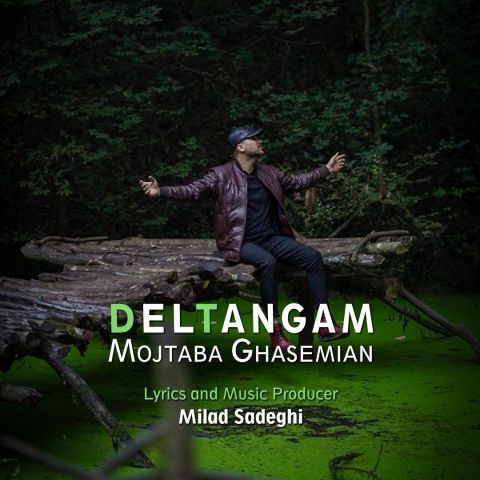 دانلود آهنگ مجتبی قاسمیان به نام دلتنگم