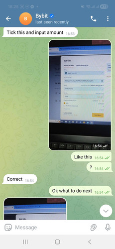fake bybit 6.jpg