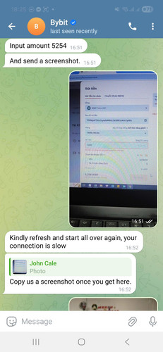 fake bybit 4.jpg