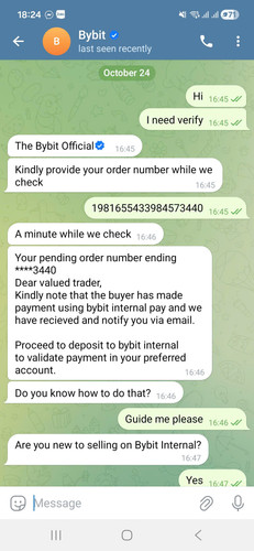 fake bybit 9.jpg
