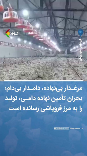 T4DmJZINAjY Npvg.jpg