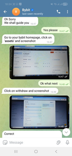fake bybit 1.jpg