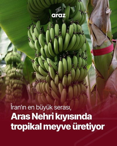 G4F4JjmX0AAHYgv.jpg
