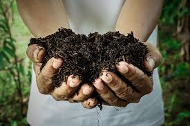images (1).jpg