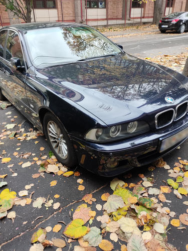 bolidu.png