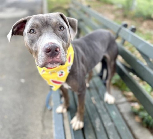 G3JVo8DWQAAnd Q?format=jpg.jpg