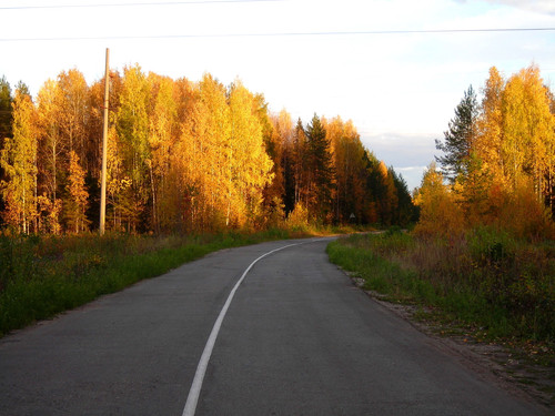 дорога в солнечный осенний день.jpg