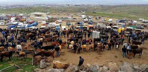 BkZvJq1s7Zz99UfqDr3vVwXSMxQYbi6IkEu0CCOEPP6CEBrRxxRvY6OwoQh1gZzypk5J1dEfbCSerSXgkNPZmUF1QKG5 C48R7Fc.jpg