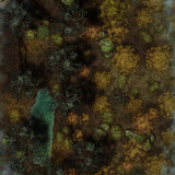 Forest Clearing port