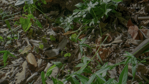 20251025 025949 932817.png