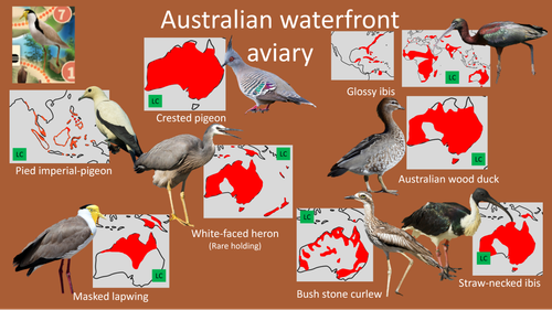 Planckendael Australian waterfront aviary.png