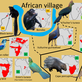 Planckendael Madagascar region