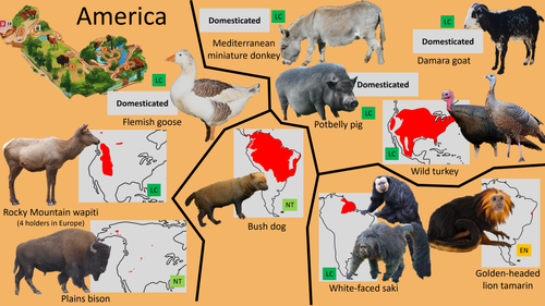 Planckendael America 1.png