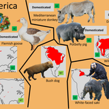 Planckendael America 1