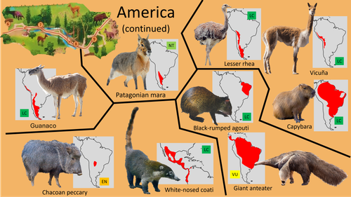 Planckendael America 2.png