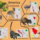 Planckendael America 2