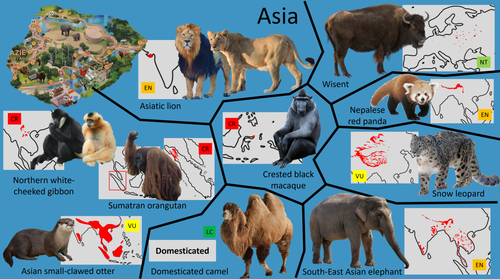Planckendael Asia.png