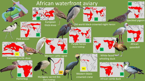 Planckendael African waterfront aviary.png