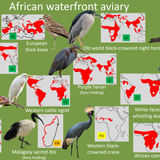 Planckendael African waterfront aviary