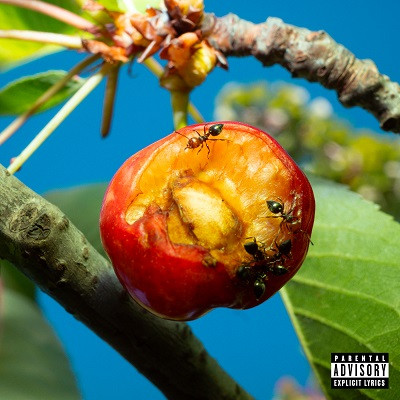 Mecna - Discordia, armonia e altri stati d'animo (2025) .mp3 - 320 kbps