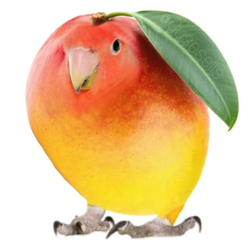 8cc2a702bc47.png