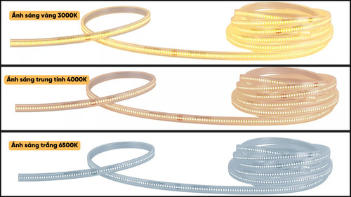 den led day trang tri philips hls188 cob 50m 10w m 830 840 865 gm 220 240v 50 met cuon 3000k 4000k 6.jpg