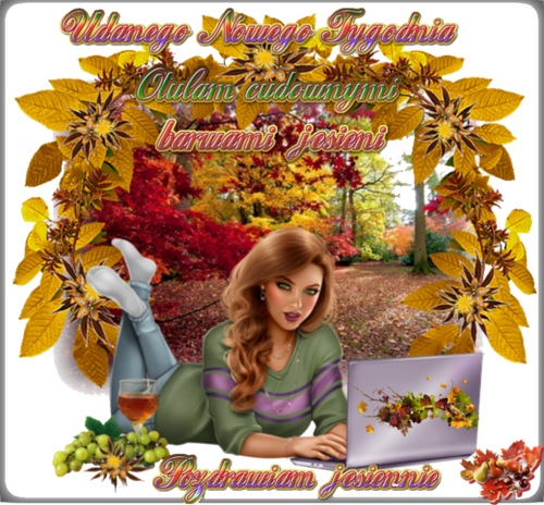 520x483 Poniedziałel.png