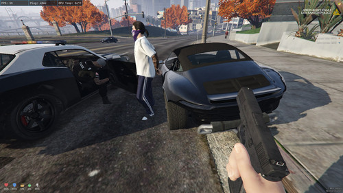 FiveM GTAProcess cX1T4FXYoe.jpg