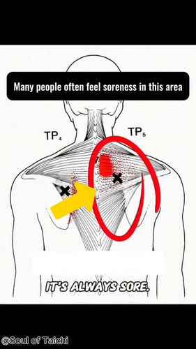 Afu5sXUR1r4BIXSq.jpg