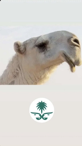 G3 tDdnW8AACOxh.jpg