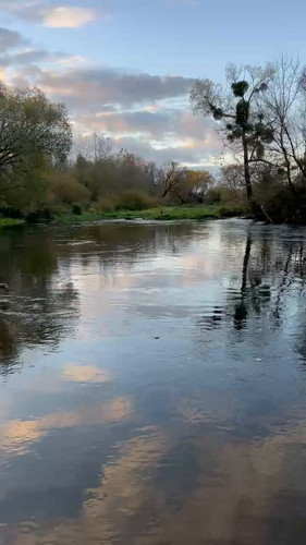 JJpWypQ58 I7KVX9.jpg