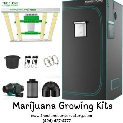 Marijuana Growing Kits.jpg