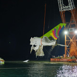 1761398327 fgrsteetr (1)