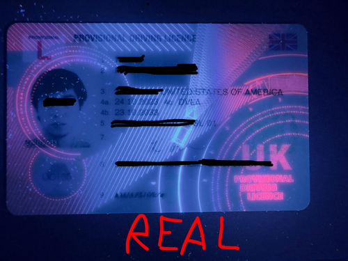 Untitled76 20251025004227.png