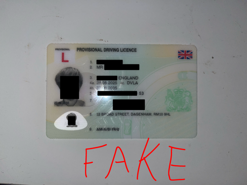 Untitled80 20251025005150.png