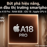 vi vn iphone 16 pro max 3