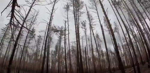 gY98mKt9zfJDFt u.jpg