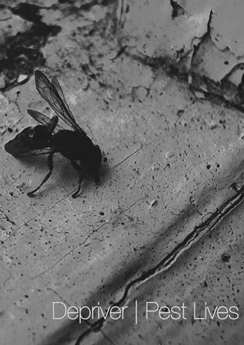 Depriver, Pest Lives – Split.jpg