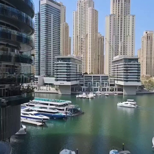 CP kzvllRm8rczIP.jpg