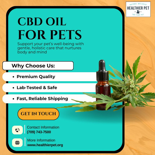 CBD Oil For Pets In Canada.jpg