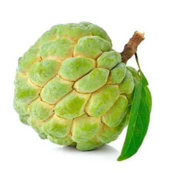 curate custard apple medium prem.jpg