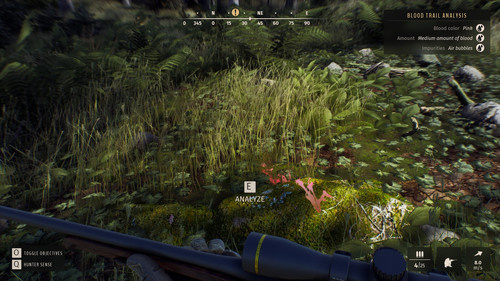 7781 way of the hunter 5.jpg