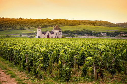 Burgundy 535048540.jpg