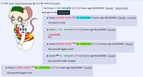 memeflag.png
