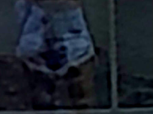 120e42789cbb.jpg